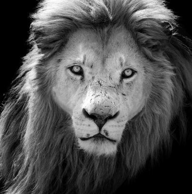 Прикрепленное изображение: _MG_8513с1.jpg